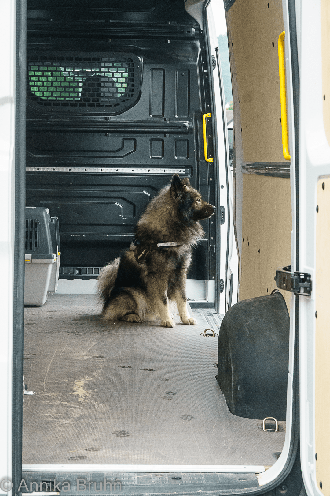 Ich bin breit. Wir können los